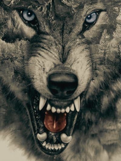 Sói Săn Mồi: Máu và Nước Mắt Dưới Bóng Trần Gia