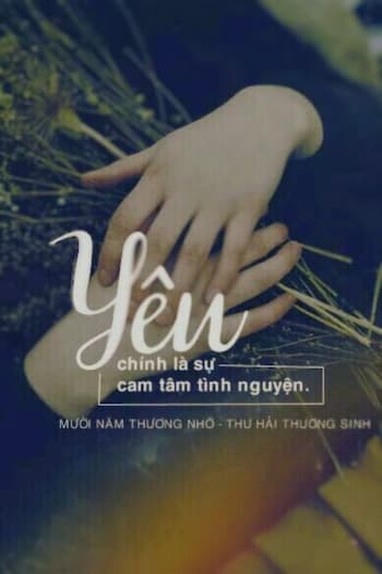 Lời Tựa Một Tình Yêu: 15 Năm Địa Ngục, Một Tình Yêu Vĩnh Cửu!