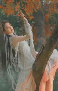 Đỉnh Núi Nhà Tôi Thông Niên Đại: Rau Dại Mọc Tiền, Bí Mật Sau Núi!