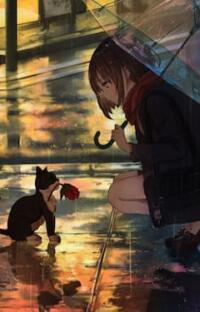 Đợi Mưa Tạnh: Khi tình yêu được ‘mai mối’ bởi một tờ rơi tìm vợ!