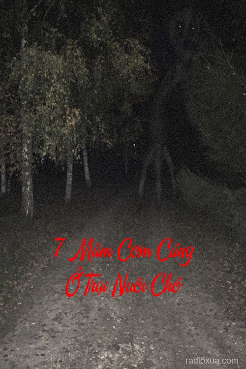 7 Mâm Cơm Cúng Ở Trại Nuôi Chó – Máu tanh chó gầm thét