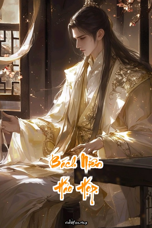 Bách Niên Hảo Hợp: Hôn Nhân Hoàn Hảo Hay Bi Kịch Ngầm