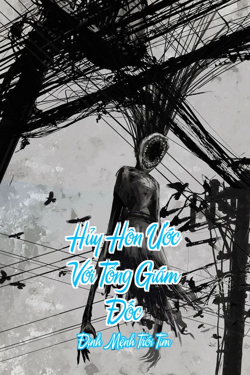 Hủy Hôn Ước Với Tổng Giám Đốc – Định Mệnh Trói Tim