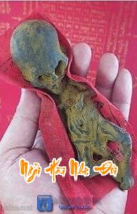 Ngải Hài Nhi: Đôi Mắt Vô Hồn Kể Chuyện Kinh Hoàng – Khi Bóng Tối Nhìn Lại Bạn