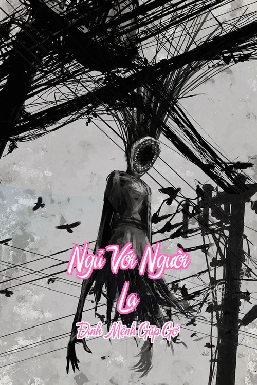 Ngủ Với Người Lạ – Định Mệnh Gặp Gỡ