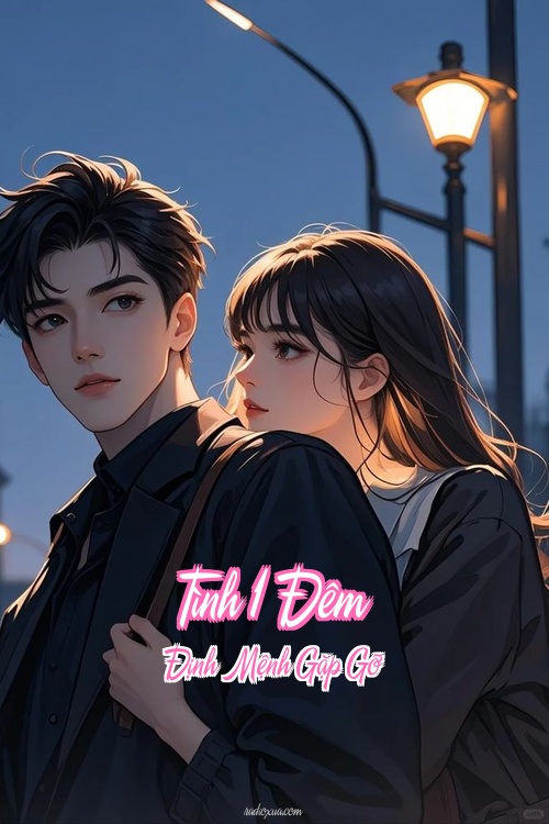 Tình 1 Đêm – Định Mệnh Gặp Gỡ