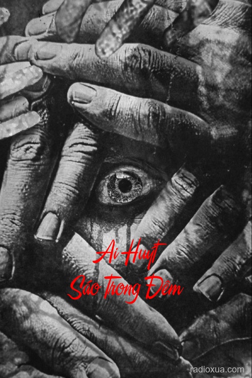 Ai Huýt Sáo Trong Đêm – Tiếng Gọi Từ Bóng Tối