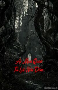 Ai Mua Quan Tài Lúc Nửa Đêm – Bóng Đêm Gọi Tên