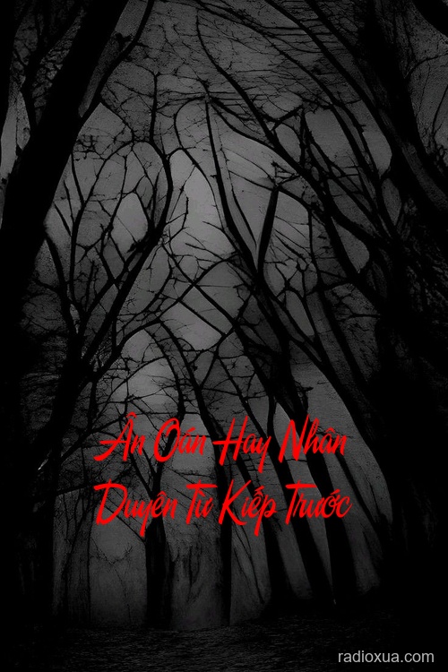 Ân Oán Hay Nhân Duyên Từ Kiếp Trước – Kiếp trước chưa buông