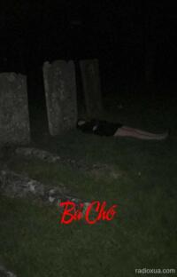 Bả Chó – Hận Thù Nuốt Chửng