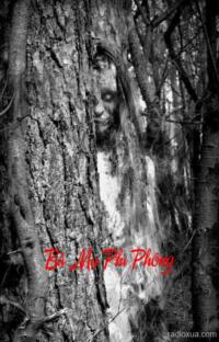 Bà Mụ Phi Phông – Lời Nguyền Từ Ruộng