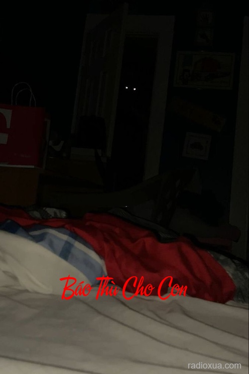 Báo Thù Cho Con – Máu nhuộm tháng ngày