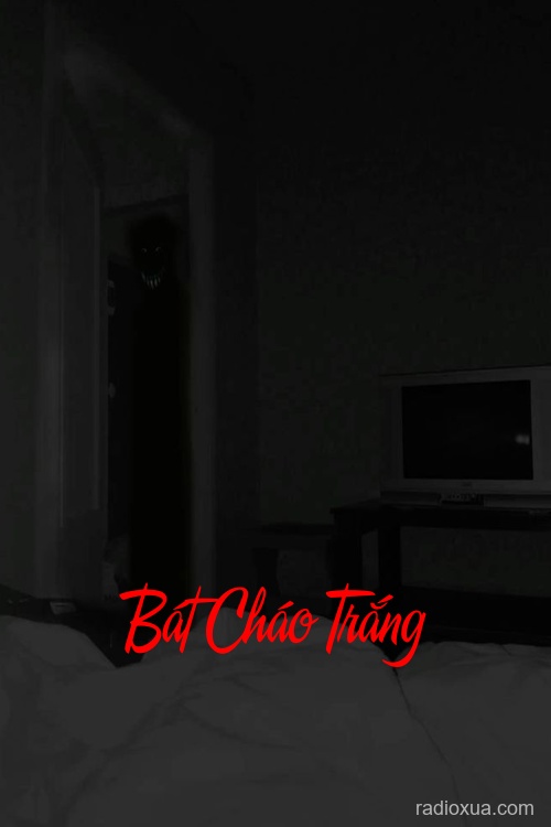 Bát Cháo Trắng – Hơi Thở Từ Quá Khứ