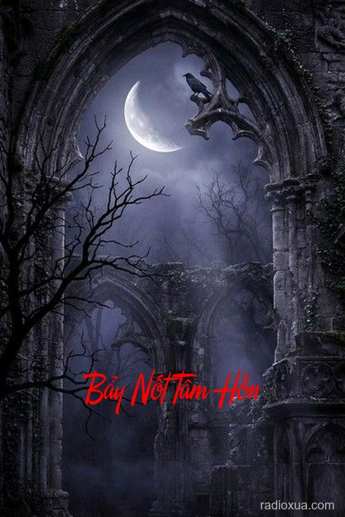 Bảy Nốt Tâm Hồn – Âm Thanh Gọi Hồn