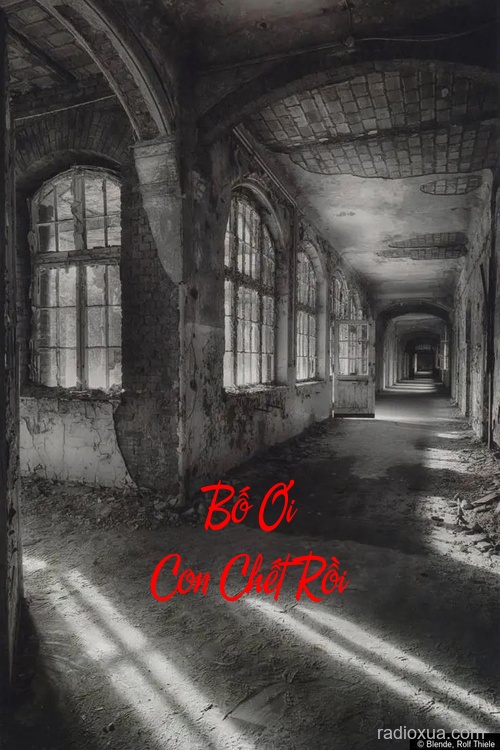 Bố Ơi Con Chết Rồi – Hồi Kết Không Trở Lại