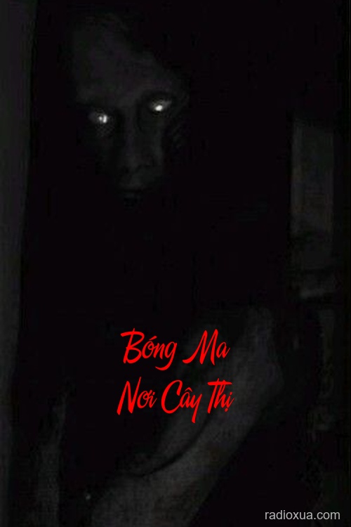 Bóng Ma Nơi Cây Thị – Hồi ức từ cõi tối