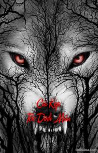 Cái Kẹp Tóc Dính Máu – Máu Vẫn Chưa Khô