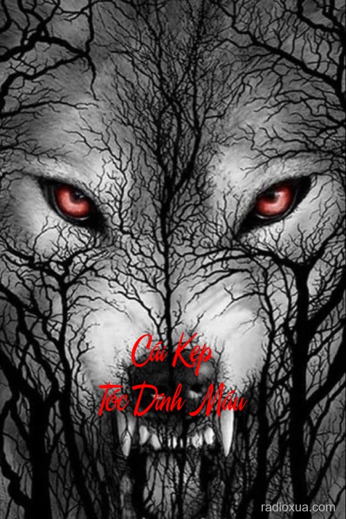 Cái Kẹp Tóc Dính Máu – Máu Vẫn Chưa Khô