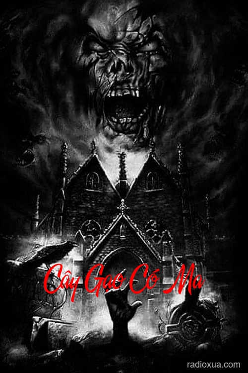 Cây Gạo Có Ma – Đừng Nhìn Xuống