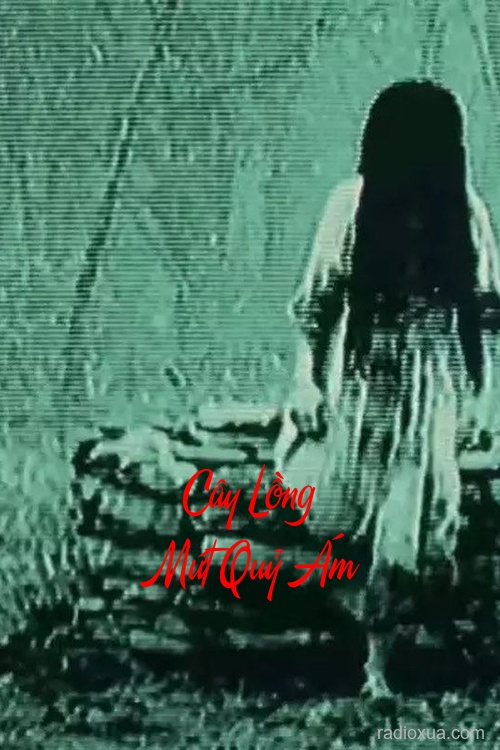 Cây Lồng Mứt Quỷ Ám – Ngọt ngào chết chóc