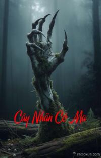 Cây Nhãn Có Ma – Cống Ngầm