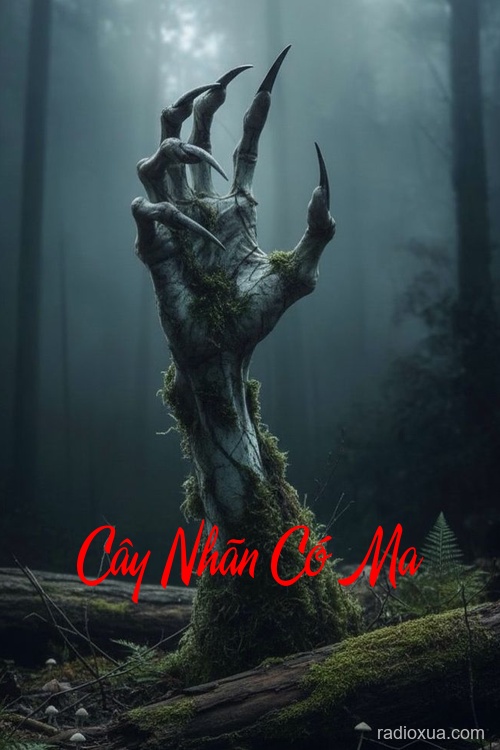 Cây Nhãn Có Ma – Cống Ngầm