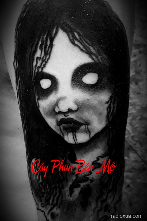 Cây Phan Bên Mộ – Ngủ vùi dưới đất