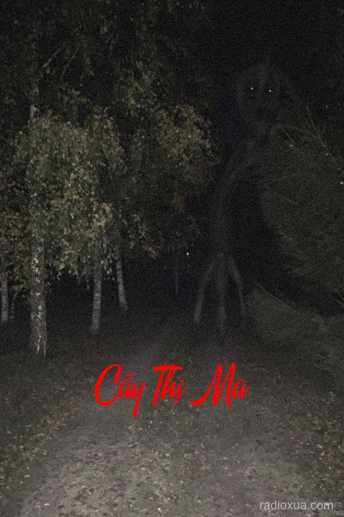 Cây Thị Ma – Hồn Ma Khát Máu