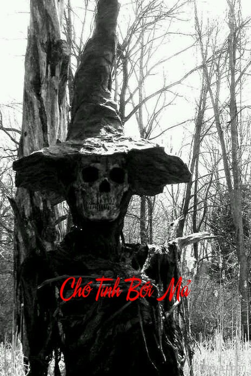 Chó Tinh Bới Mả – Nghe Chiều Thấy Hồn