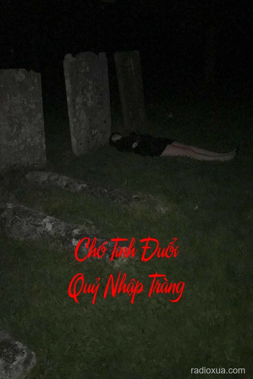 Chó Tinh Đuổi Quỷ Nhập Tràng – Nhìn Trộm