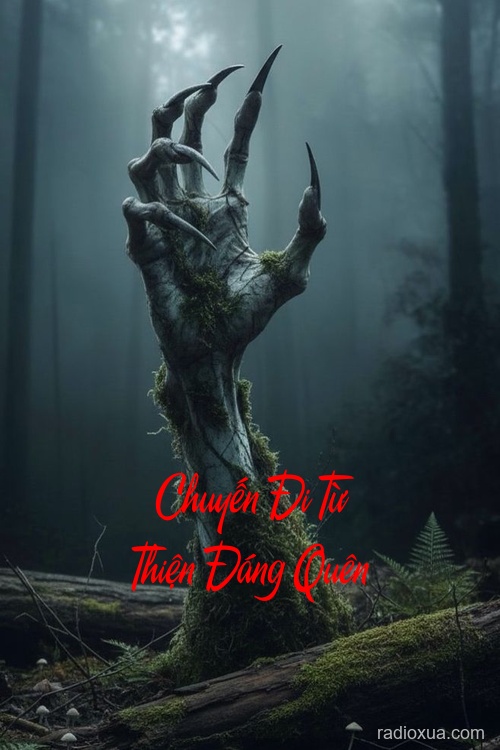 Chuyến Đi Từ Thiện Đáng Quên – Bóng Ma Của Lòng Thương