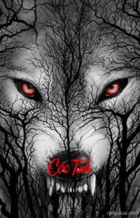 Cóc Tinh – Hóa kiếp trong bùn