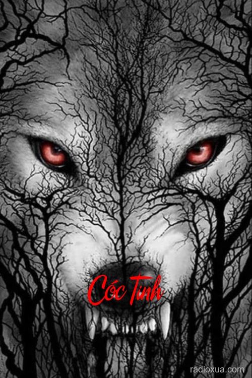 Cóc Tinh – Hóa kiếp trong bùn