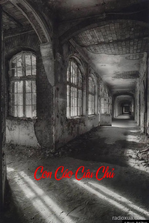 Con Cáo Cứu Chủ – Huyết Nguyệt Lạc Đường