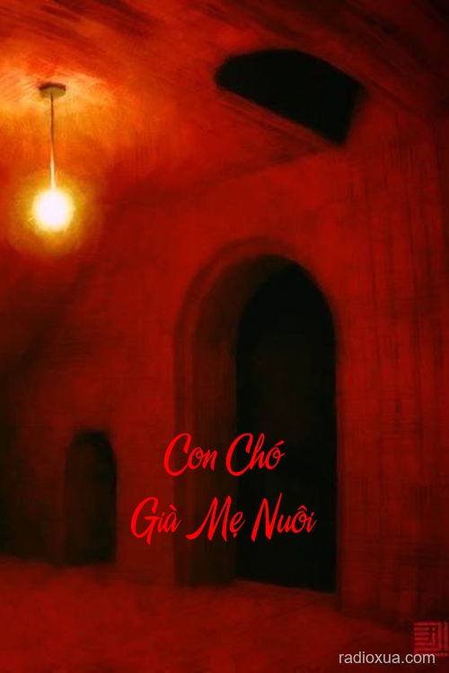 Con Chó Già Mẹ Nuôi – Giày Thêu Hoa