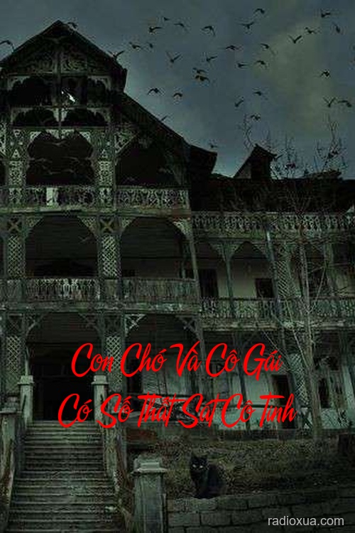 Con Chó Và Cô Gái Có Số Thất Sát Cô Tinh – Bùa Ngải Độc