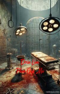 Đoàn Làm Phim Gặp Ma – Quỷ Dị