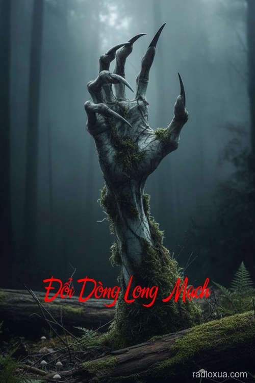 Đổi Dòng Long Mạch – Quan Tài Động