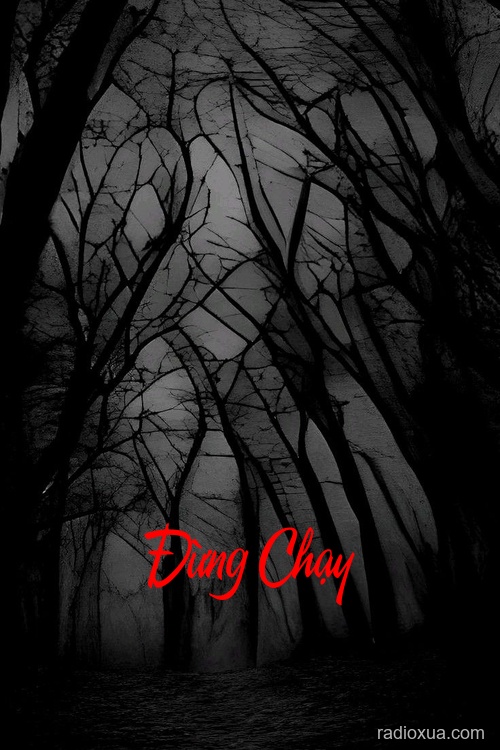 Đừng Chạy – U Ám