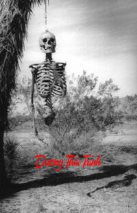 Dương Thái Trinh – Đường Cùng