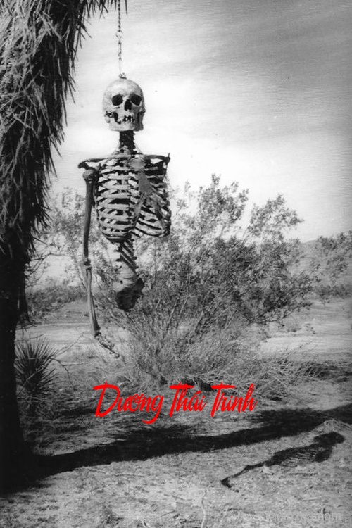 Dương Thái Trinh – Đường Cùng