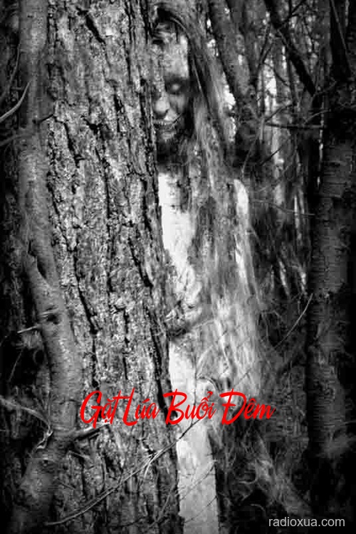 Gặt Lúa Buổi Đêm – Bóng Ma Đồng Ruộng