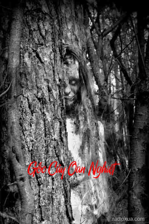 Gốc Cây Oan Nghiệt – Hồn Ma Khát Máu