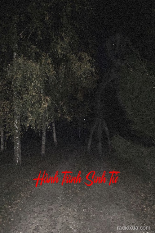 Hành Trình Sinh Tử – Hầm Mộ Cổ