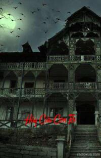 Hãy Cứu Con Tôi – Chó Đội Nón Mê