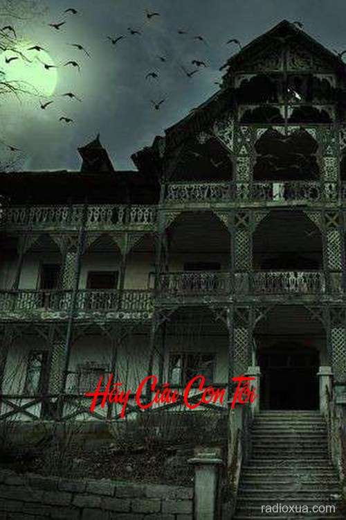 Hãy Cứu Con Tôi – Chó Đội Nón Mê