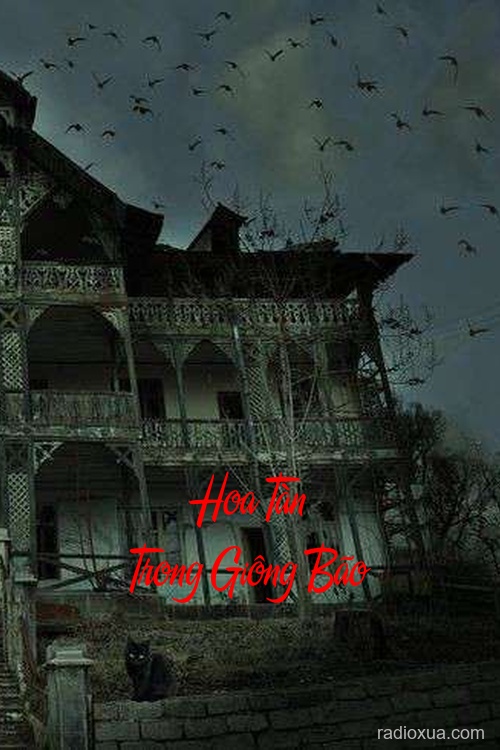 Hoa Tàn Trong Giông Bão – Bóng Ma Quá Khứ