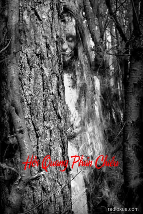 Hồi Quang Phản Chiếu – Cây Đa Ma Ám