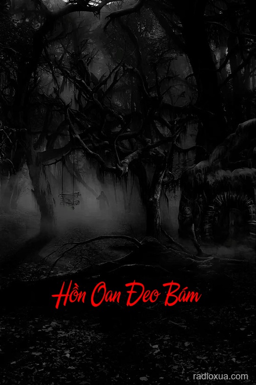 Hồn Oan Đeo Bám – Bóng Đêm Không Ngủ