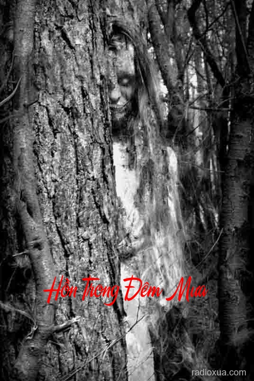 Hồn Trong Đêm Mưa – Mưa Rơi Hồn Về